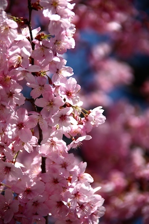 IMG_7322 - o[W 2.jpg