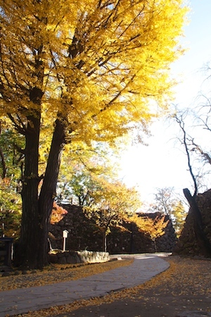 PB045551 - o[W 2.jpg